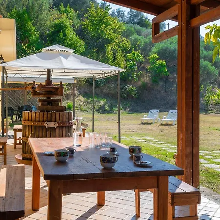 Amazing In With Kitchen